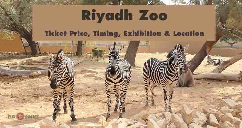 Riyadh Zoo Ticket Price, Timing & Location