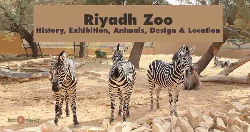 Riyadh Zoo: Exhibition, Animals, Design, History  & Location