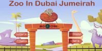 Zoo In Dubai Jumeirah: Ticket, Timing, Attractions & Location